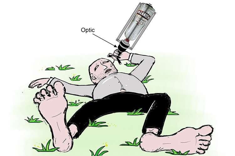 The optical nerve caries optical information to the brain